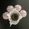 P002 Mini Tuo chat / nid de Puer ou pu'erh