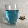 V014 Verre d'infusion de Clitoria ternatea boisson fleur bleu naturelle originaire d'Asie Butterfly flower tea
