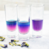 clitoria cocktail colorant naturel